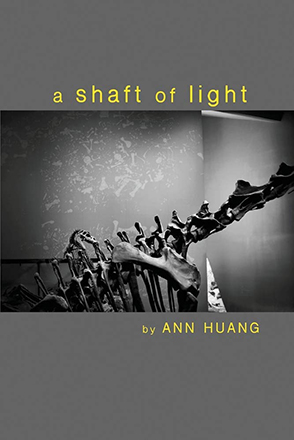 'A Shaft of Light', out now on Finishing Line Press