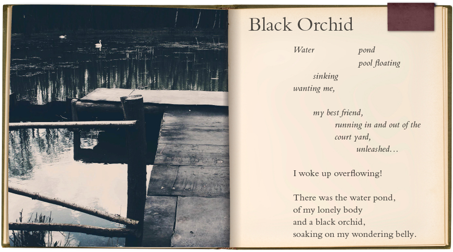 'Black Orchid' | A Poem by Ann Yu Huang | Poet & Writer