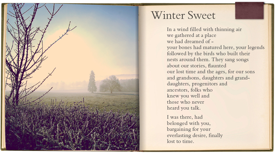 'Winter Sweet' | A Poem by Ann Yu Huang | Poet & Writer
